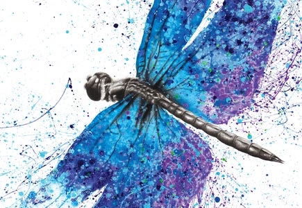 Ashvin Harrison